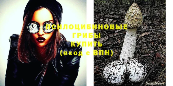 мдпв Балахна