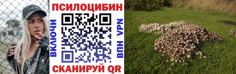 Купить где  Стрежевой  Псилоцибиновые грибы ЛСД 