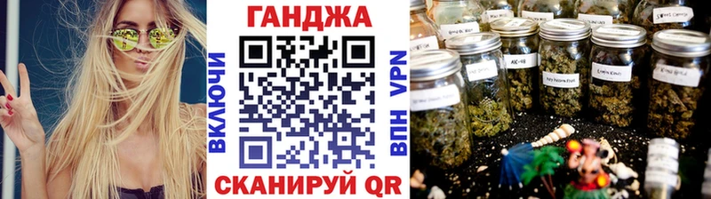 Купить где  Стрежевой  Каннабис ГИДРОПОН 